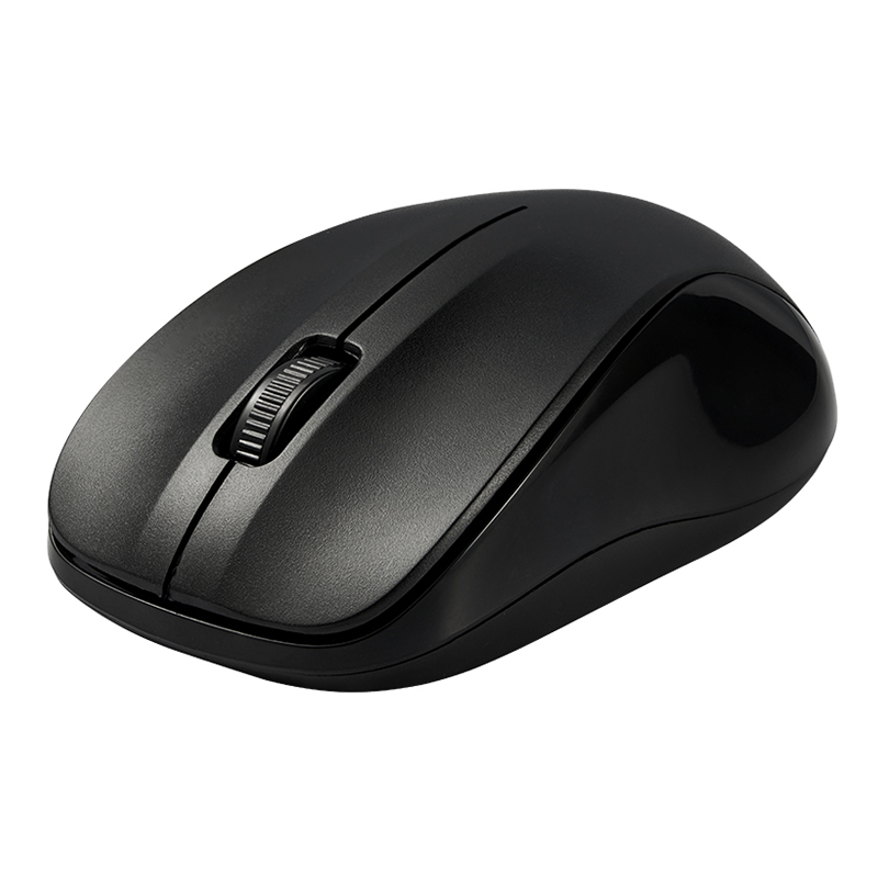 Souris Sans Fil HP M100R