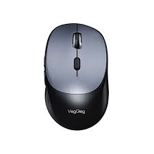Souris sans fil VegGieg 880