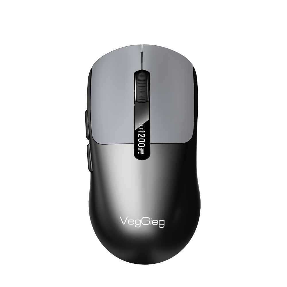 Souris Optique Sans Fil VegGieg 900