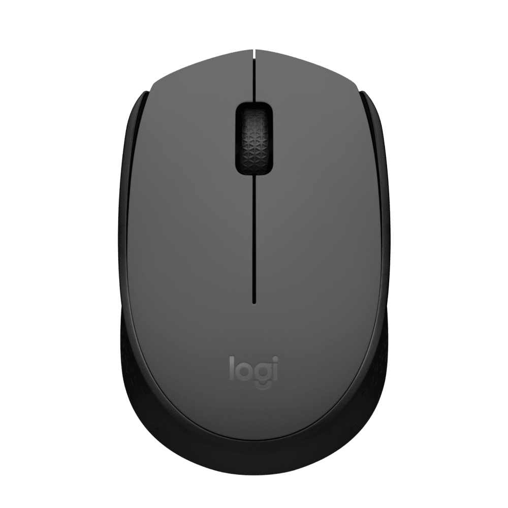 Souris Sans Fil Logitech M170